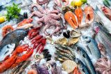 Компания по торговле морепродуктами завершила первый этап реализации нацпроекта «Производительность труда»