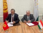 Топографические рабочие группы согласовали 43,32 км кыргызско-таджикской госграницы