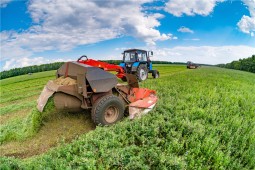 В Белоруссии осталось заготовить чуть более 5% травяных кормов